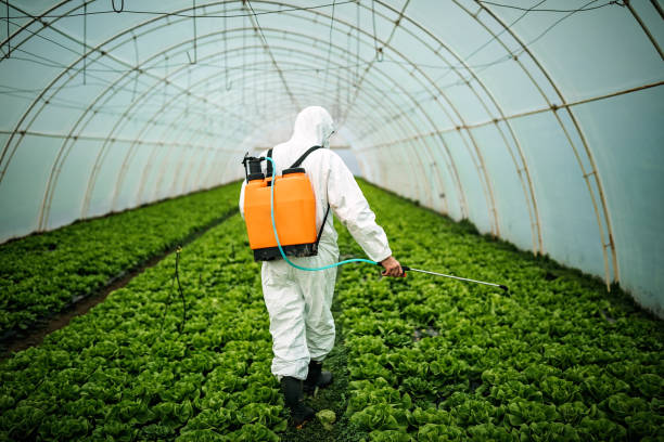 Best Best Pest Control Companies  in Front Royal, VA