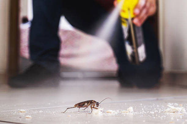 Best Pest Prevention Services  in Front Royal, VA